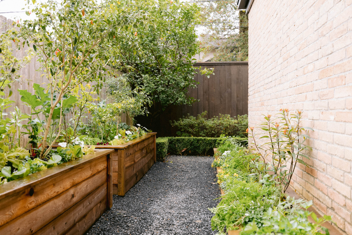 5 Reasons to Start Growing in a Raised Garden • Gardenary