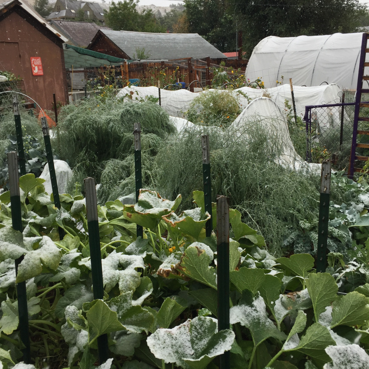 Tips to Grow a Garden Business in Cold Climates • Gardenary