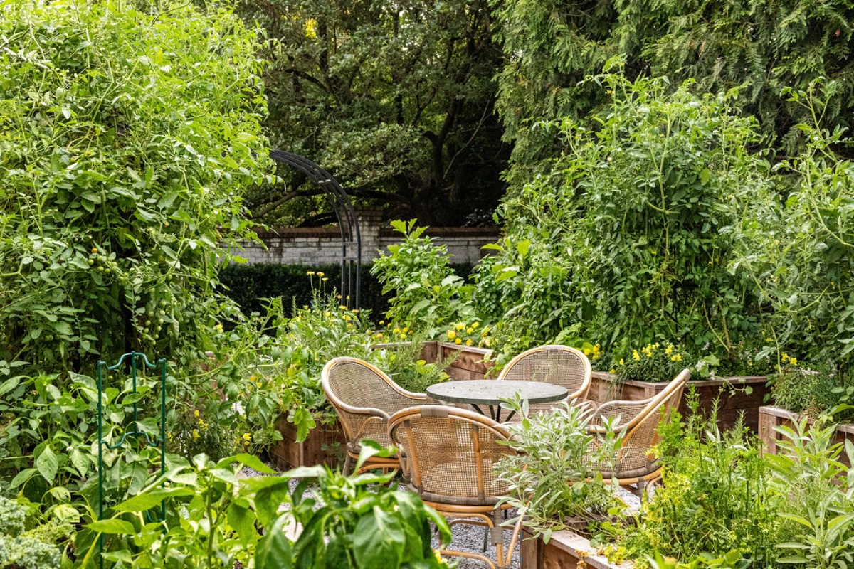 10 Garden Trends to Watch in 2025 • Gardenary