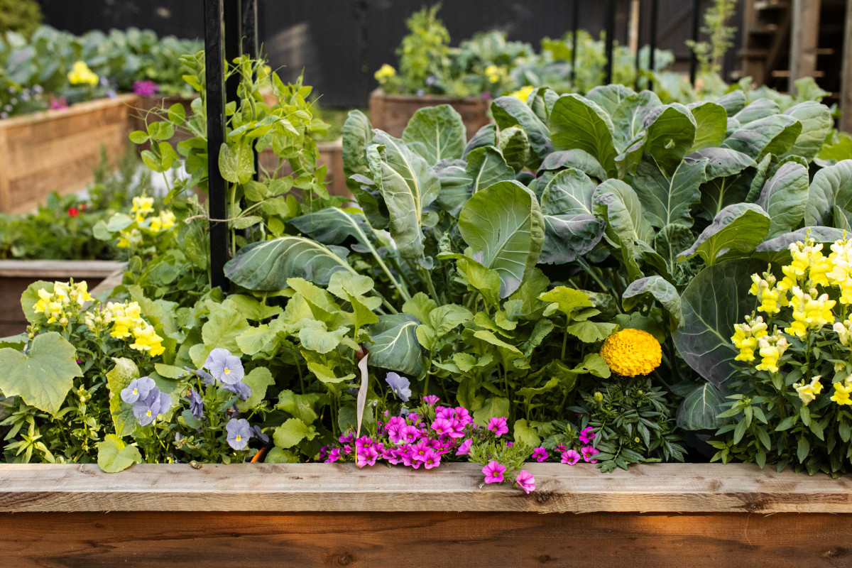 Spring Home \u0026 Garden 2024 by WORRALL MEDIA - Issuu, image size:1200x800