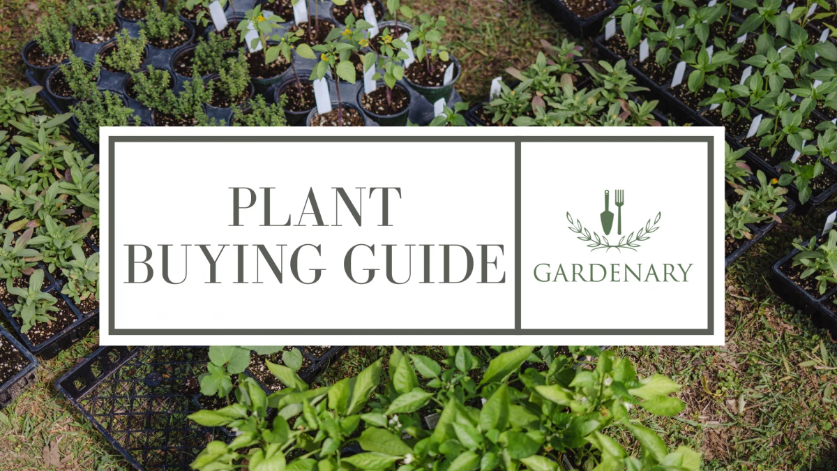 Plant Buying Guide • Gardenary