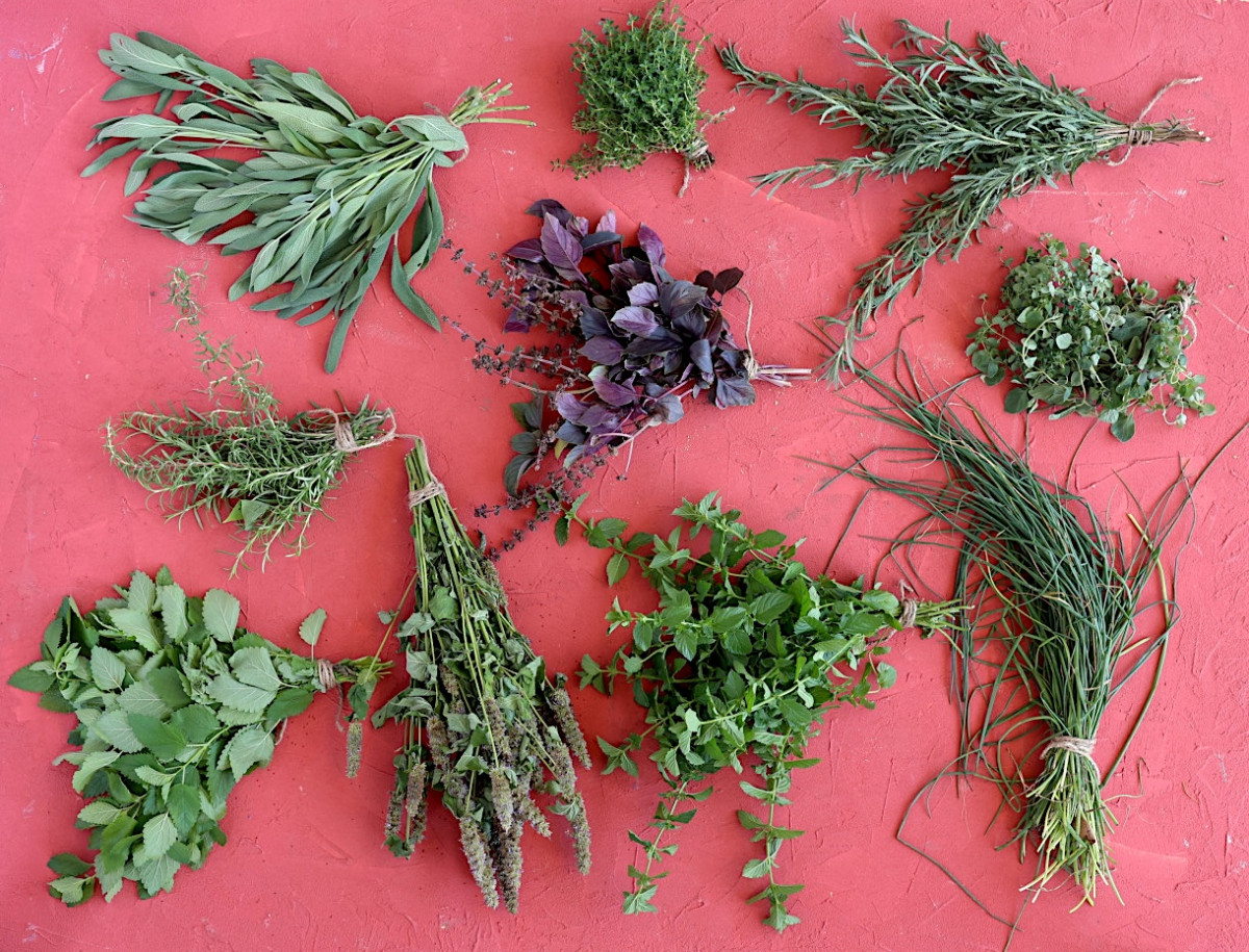 9-herbs-to-start-from-seed-indoors-in-january-gardenary