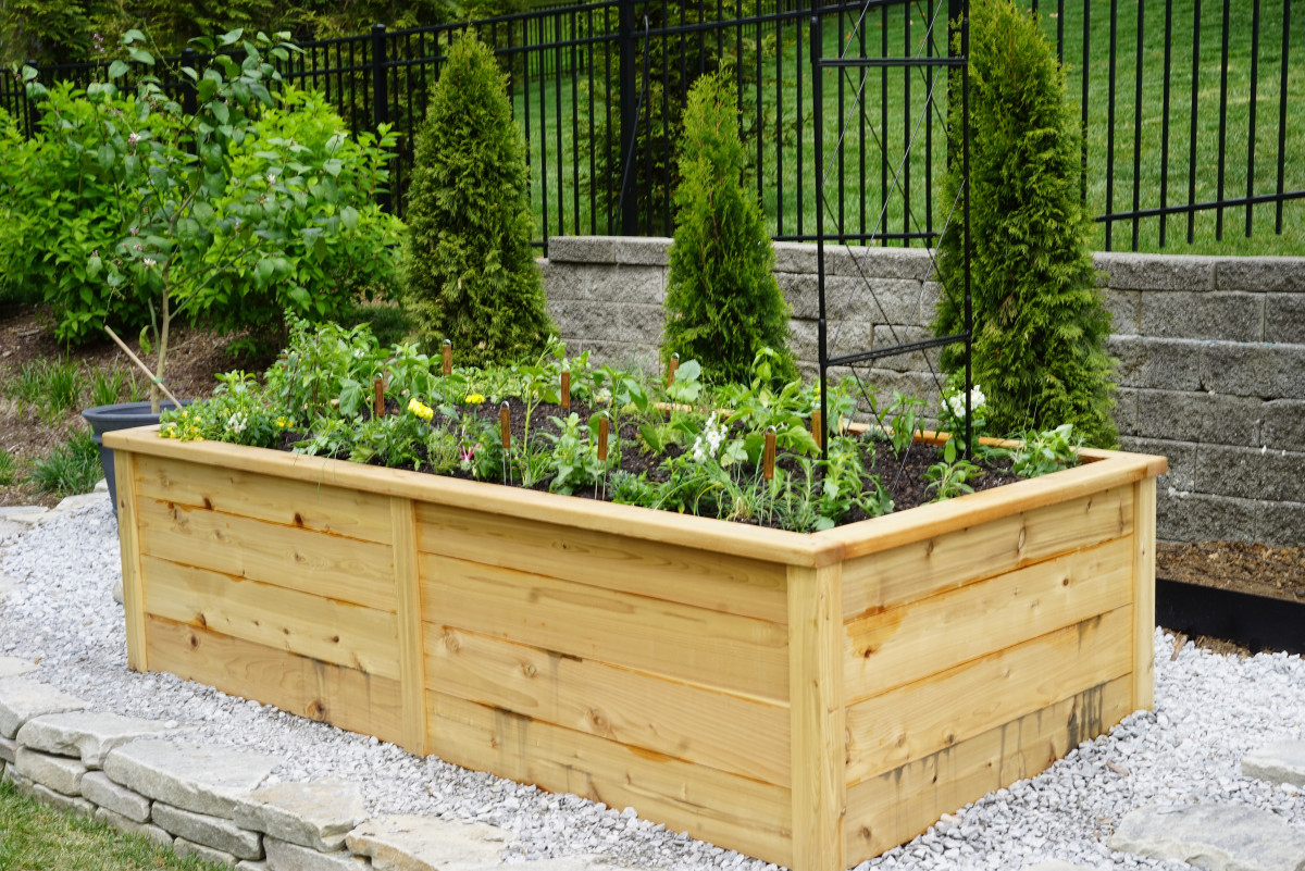 Do Raised Garden Beds Have Bottoms? • Gardenary