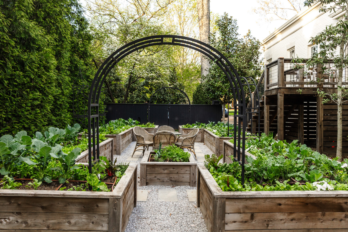 The Best Type of Wood to Use for a Raised Garden Bed • Gardenary, image size:1200x800