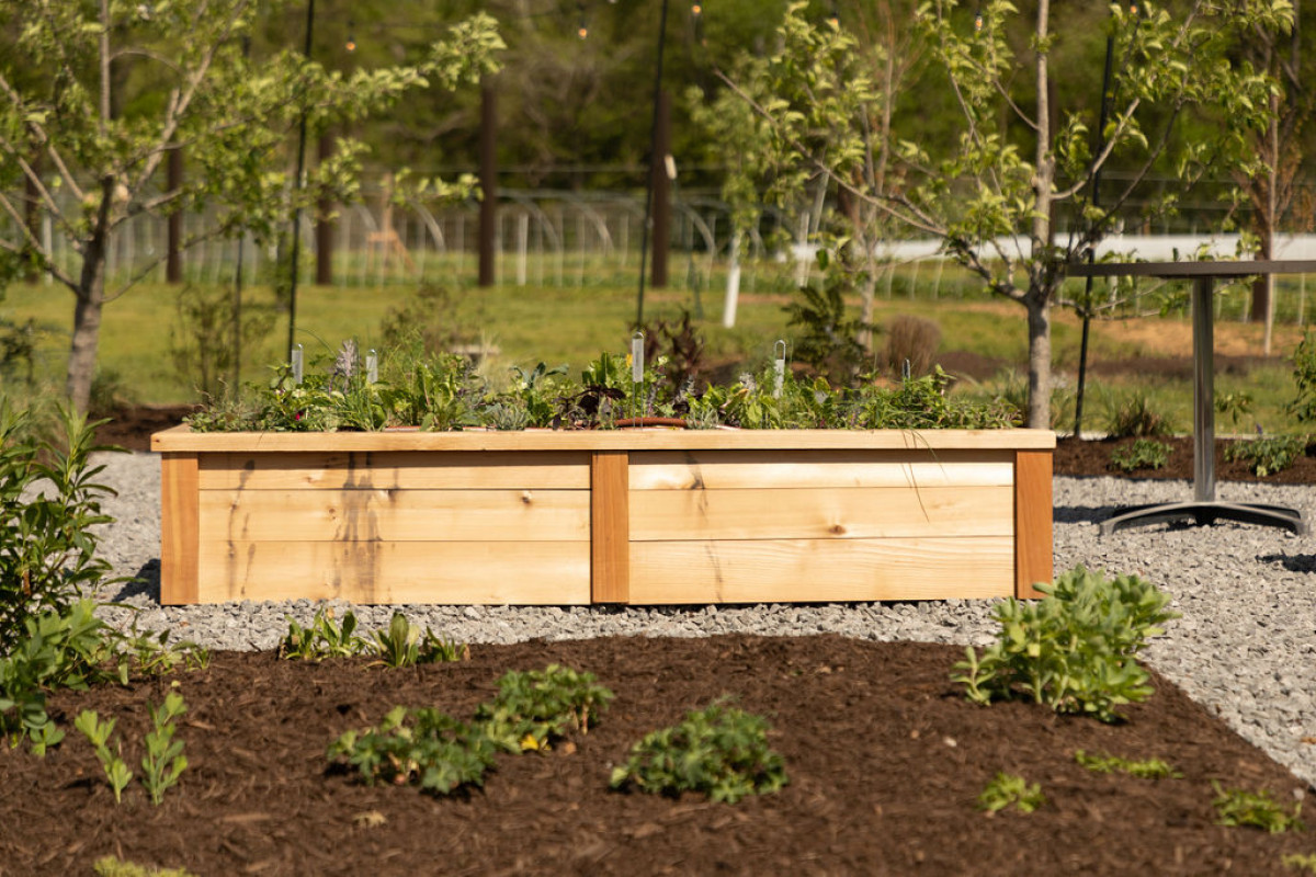 Gardenary's Wood Raised Bed Kits • Gardenary