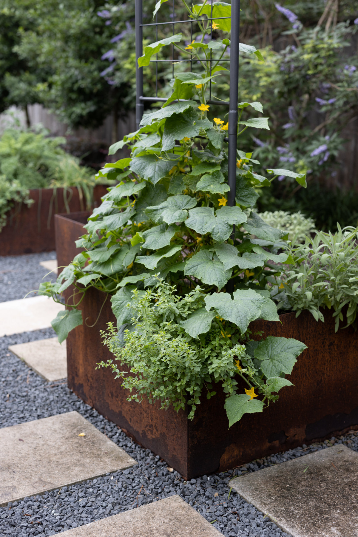 Are Raised Beds Worth the Cost? • Gardenary