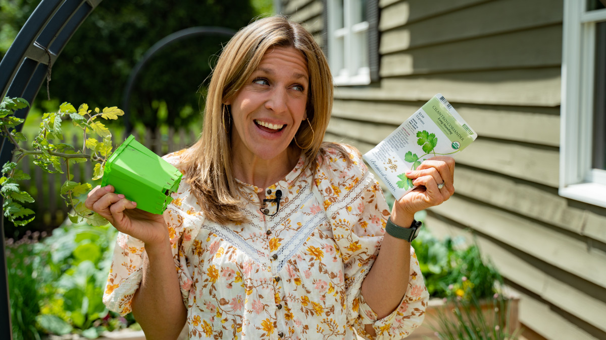 Should You Plant Seeds or Plants in Your Garden? • Gardenary