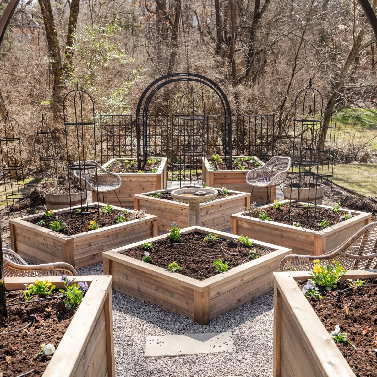 Raised Beds: Garden Design Questions Every Gardener Asks • Gardenary
