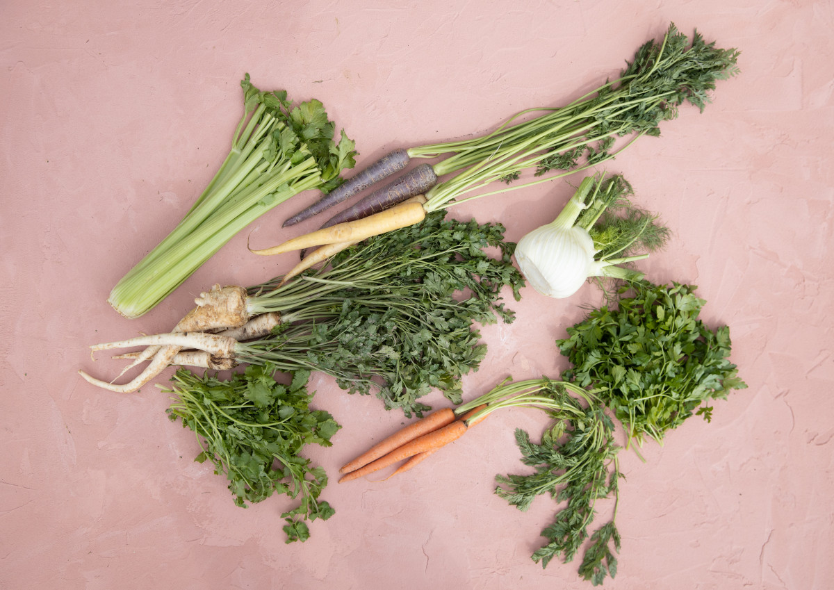 The Best Companion Plants for Carrots in an Organic Kitchen Garden