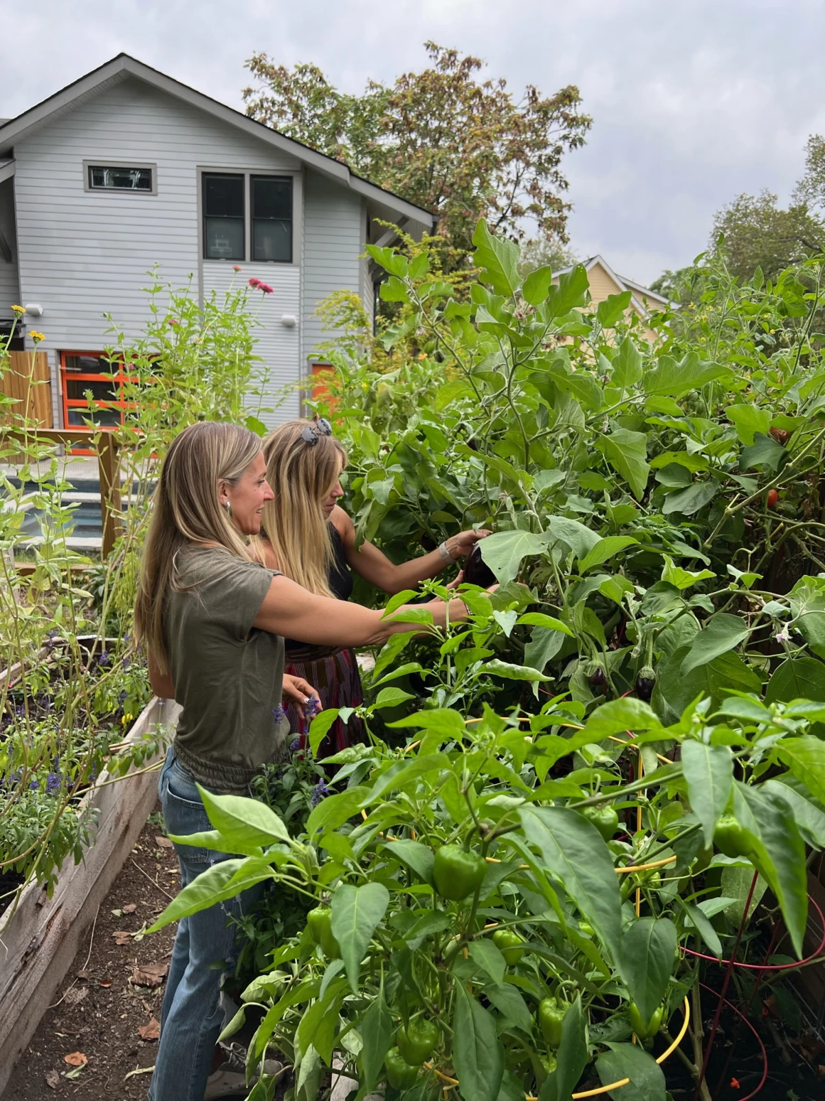 Picture of Would Someone Hire You to Be Their Garden Consultant? • Gardenary