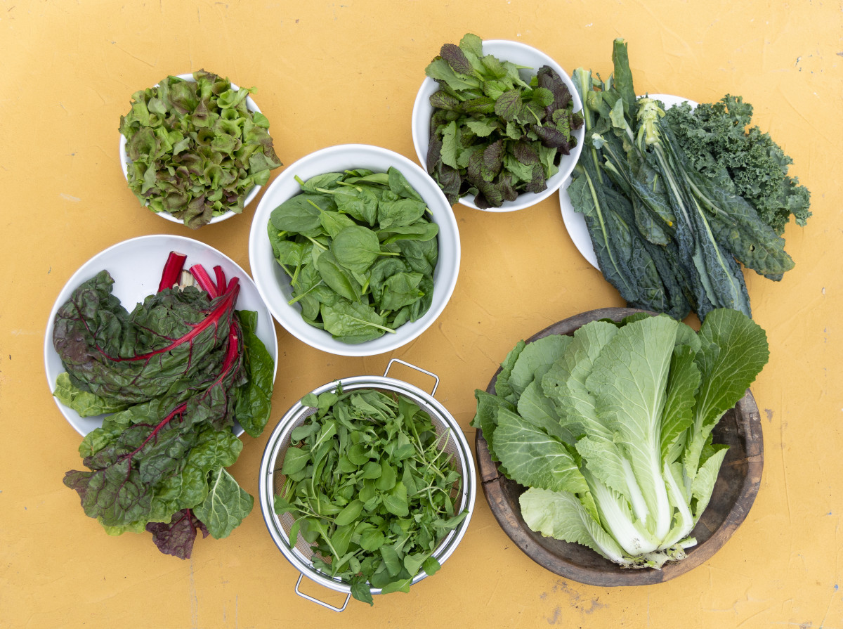 Learn to Grow Salad: Read Chapter 3 of "Leaves, Roots & Fruit ...