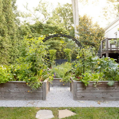 How to Set Up Flower Bed: Easy Steps for a Stunning Garden