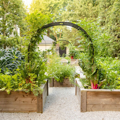 What to Plant in a Raised Garden: Top Picks for Bountiful Growth