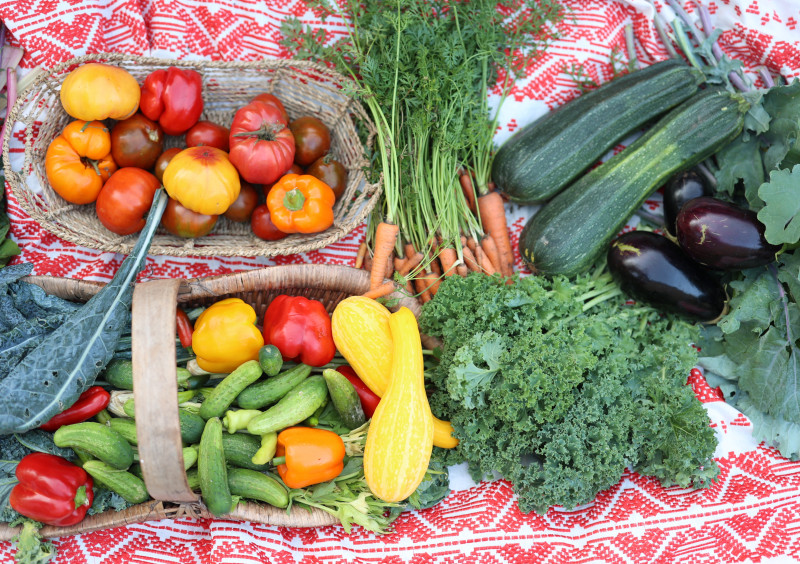 2023 Garden Calendar • Gardenary
