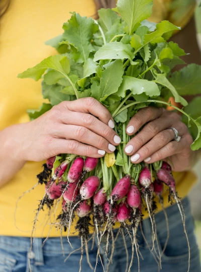 Root Crop From Tree The Complete Guide to Growing Root Crops in an Organic Kitchen Garden ...