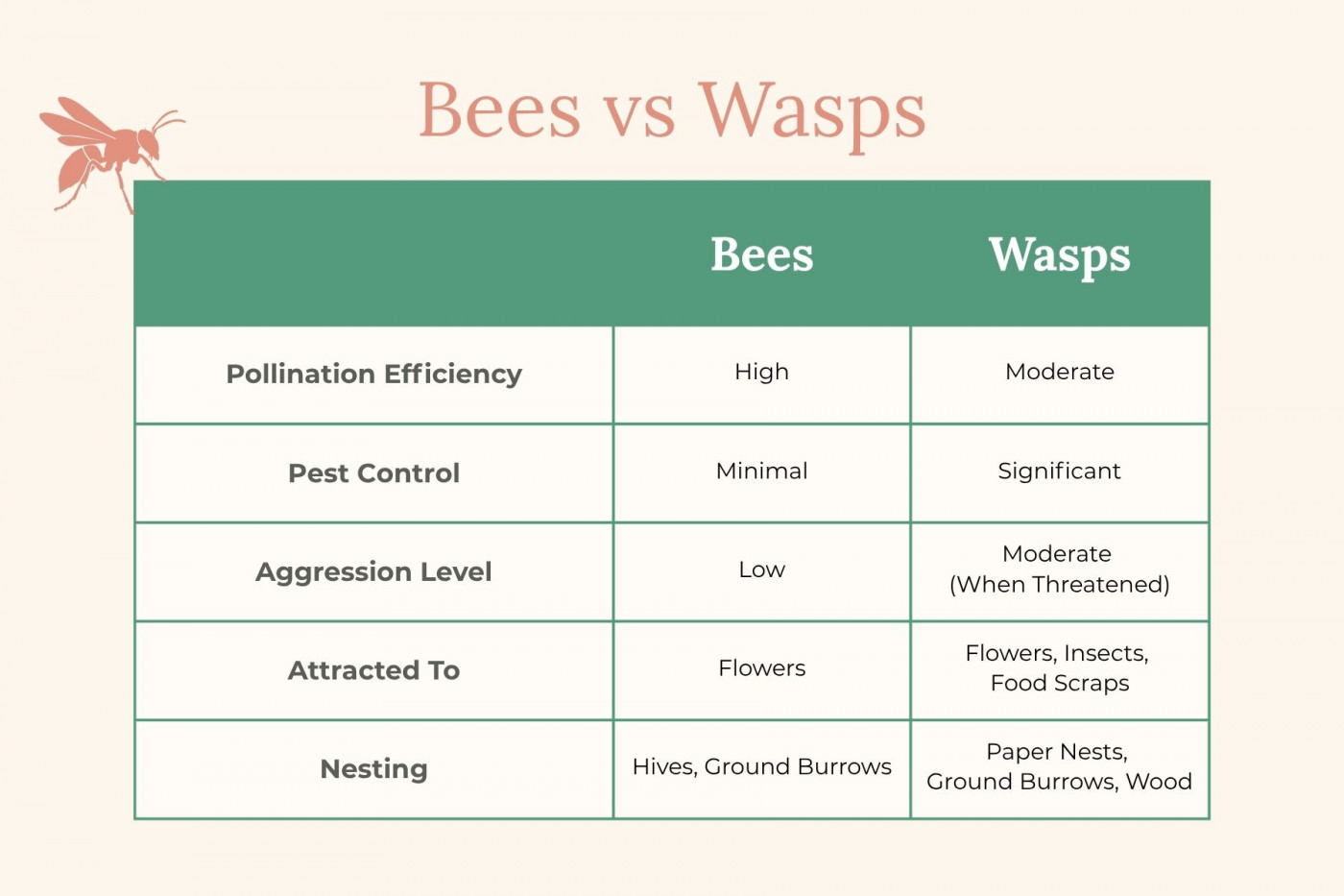 Bees vs Wasps comparison chart with a coral-colored wasp illustration in the top left corner on a cream background. The table compares bees and wasps across five categories using a green header row. Pollination Efficiency: Bees — High, Wasps — Moderate. Pest Control: Bees — Minimal, Wasps — Significant. Aggression Level: Bees — Low, Wasps — Moderate when threatened. Attracted To: Bees — Flowers, Wasps — Flowers, insects, and food scraps. Nesting: Bees — Hives and ground burrows, Wasps — Paper nests, ground burrows, and wood.