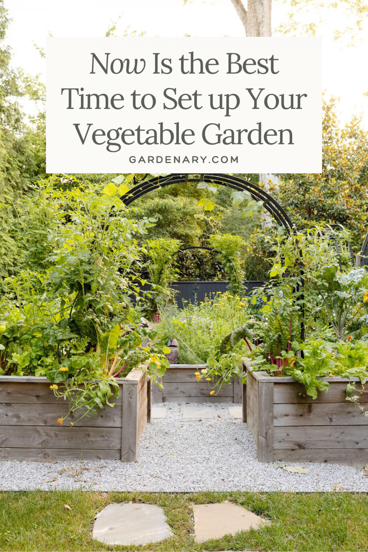 Now is the best time to set up your vegetable garden