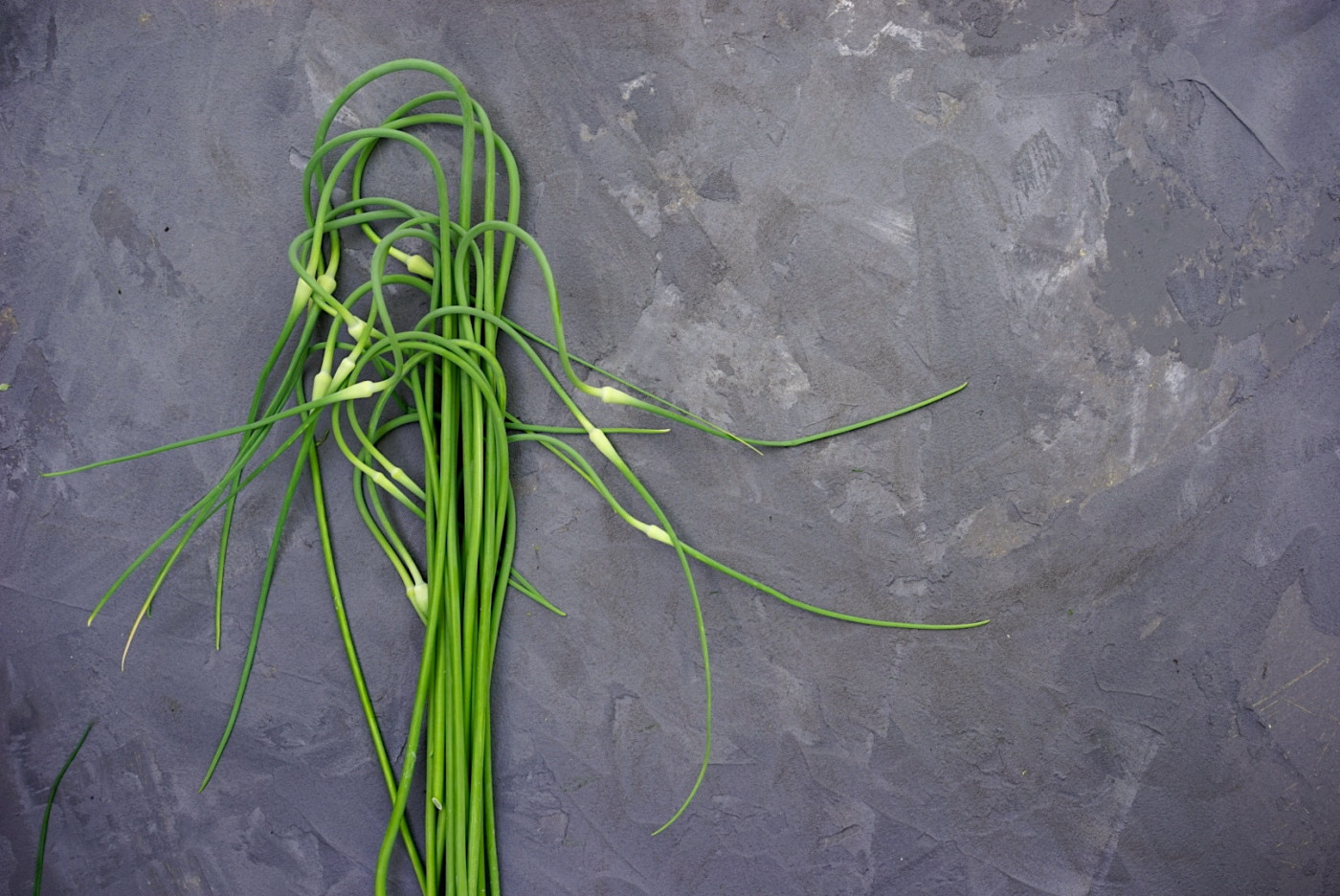 garlic scapes harvest tips