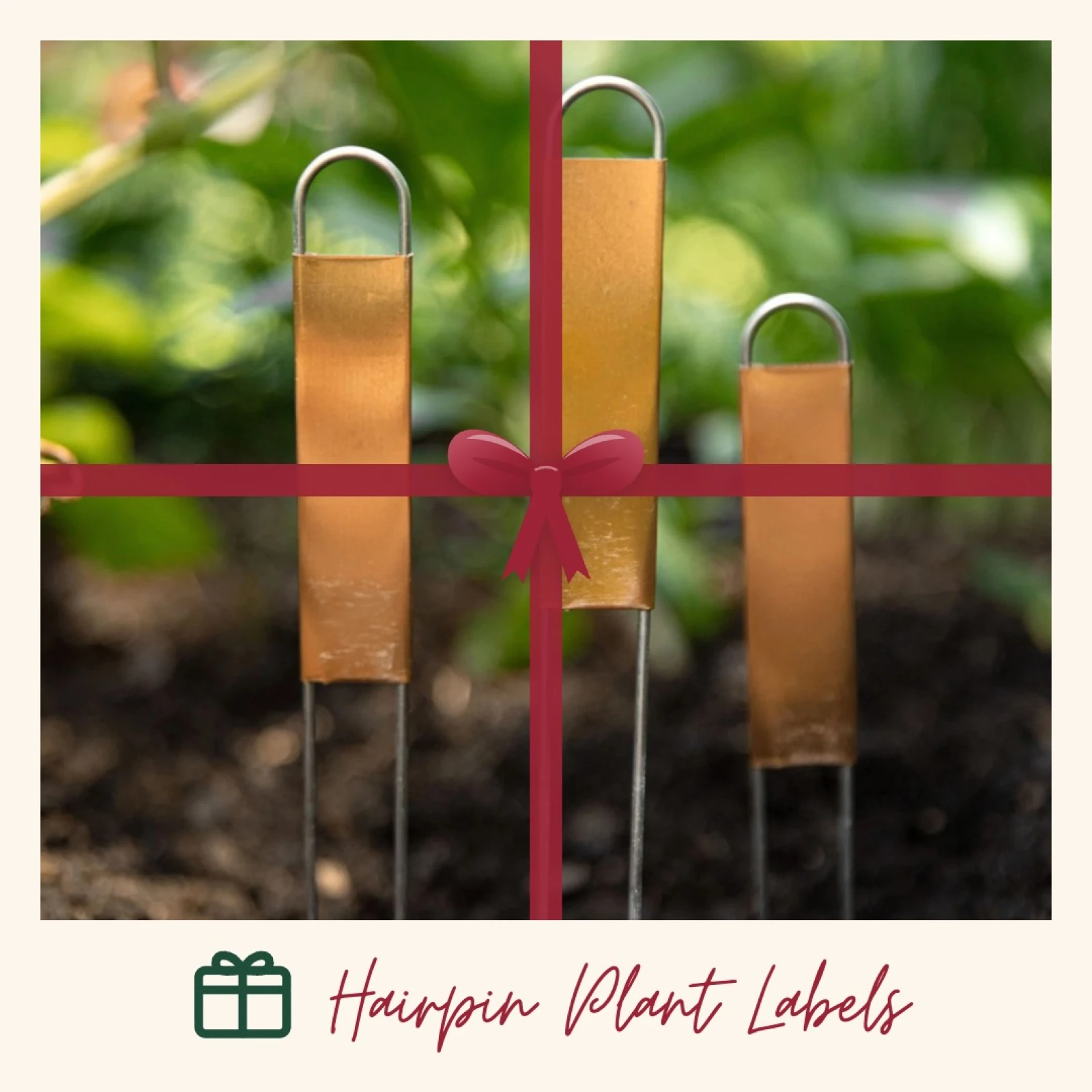 hairpin plant labels