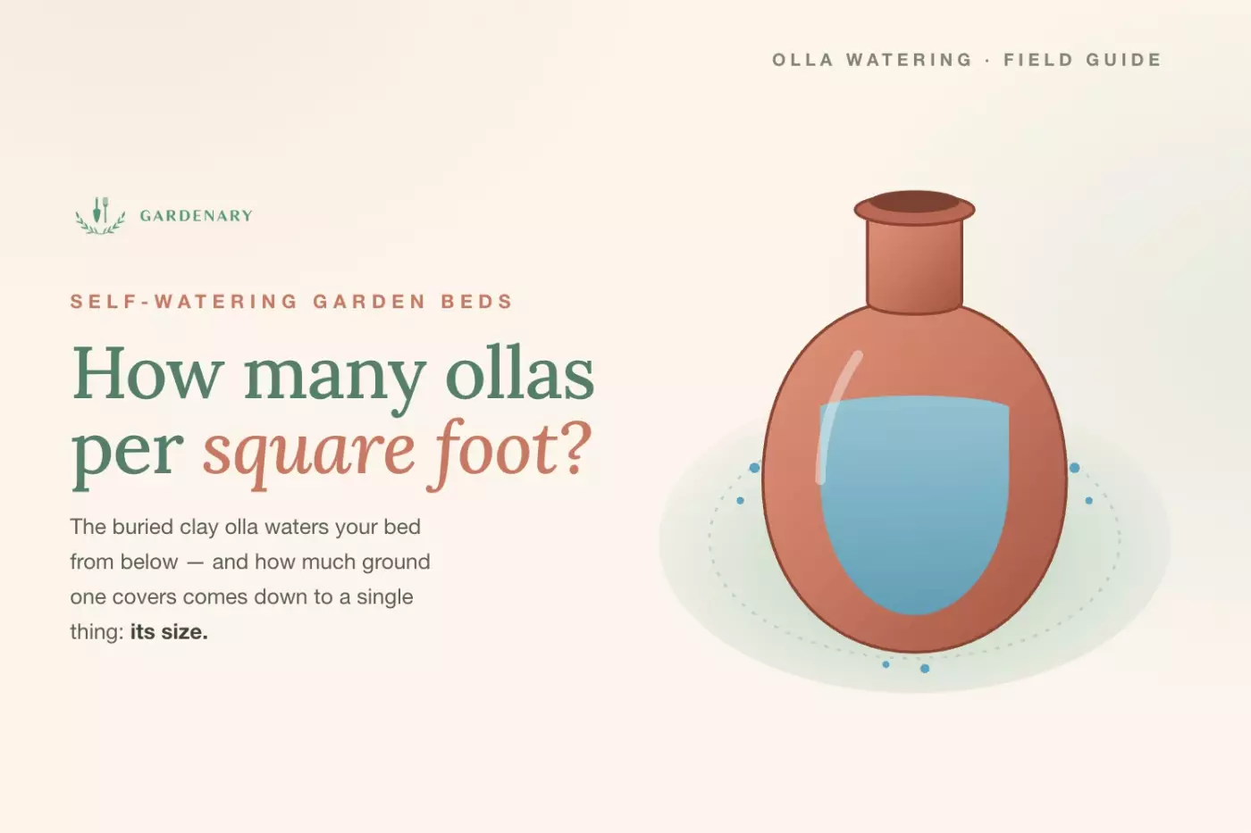 Gardenary infographic showing how many ollas per square foot, featuring an illustrated terracotta olla pot with water seeping into soil for raised bed irrigation