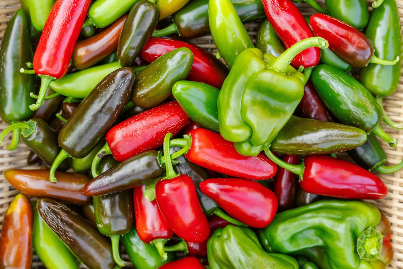 different pepper types in harvest basket