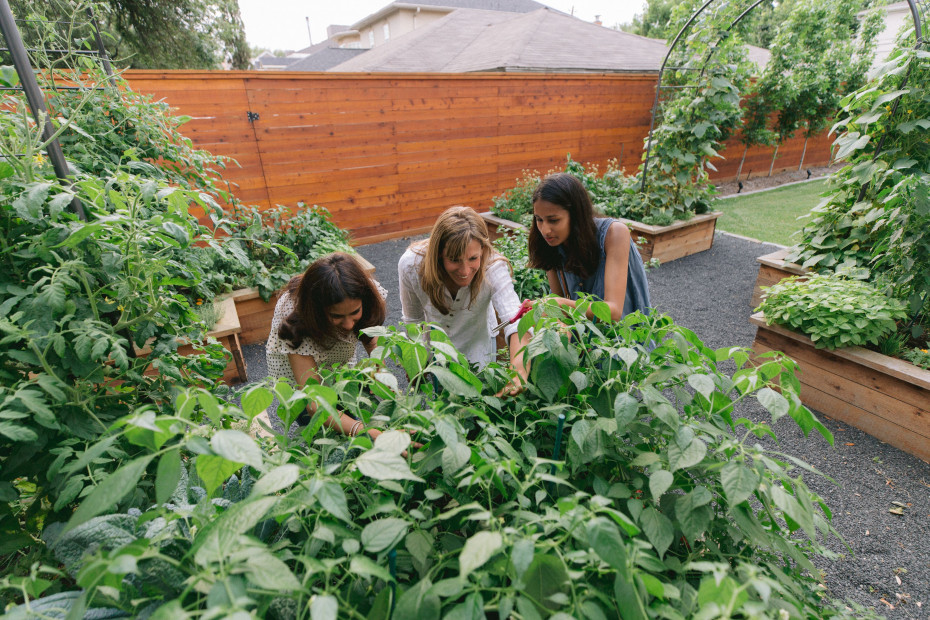 5 Questions To Ask Your Garden Consultant