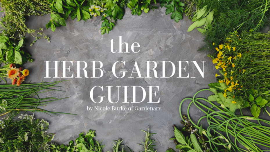 The Best Online Garden Courses • Gardenary