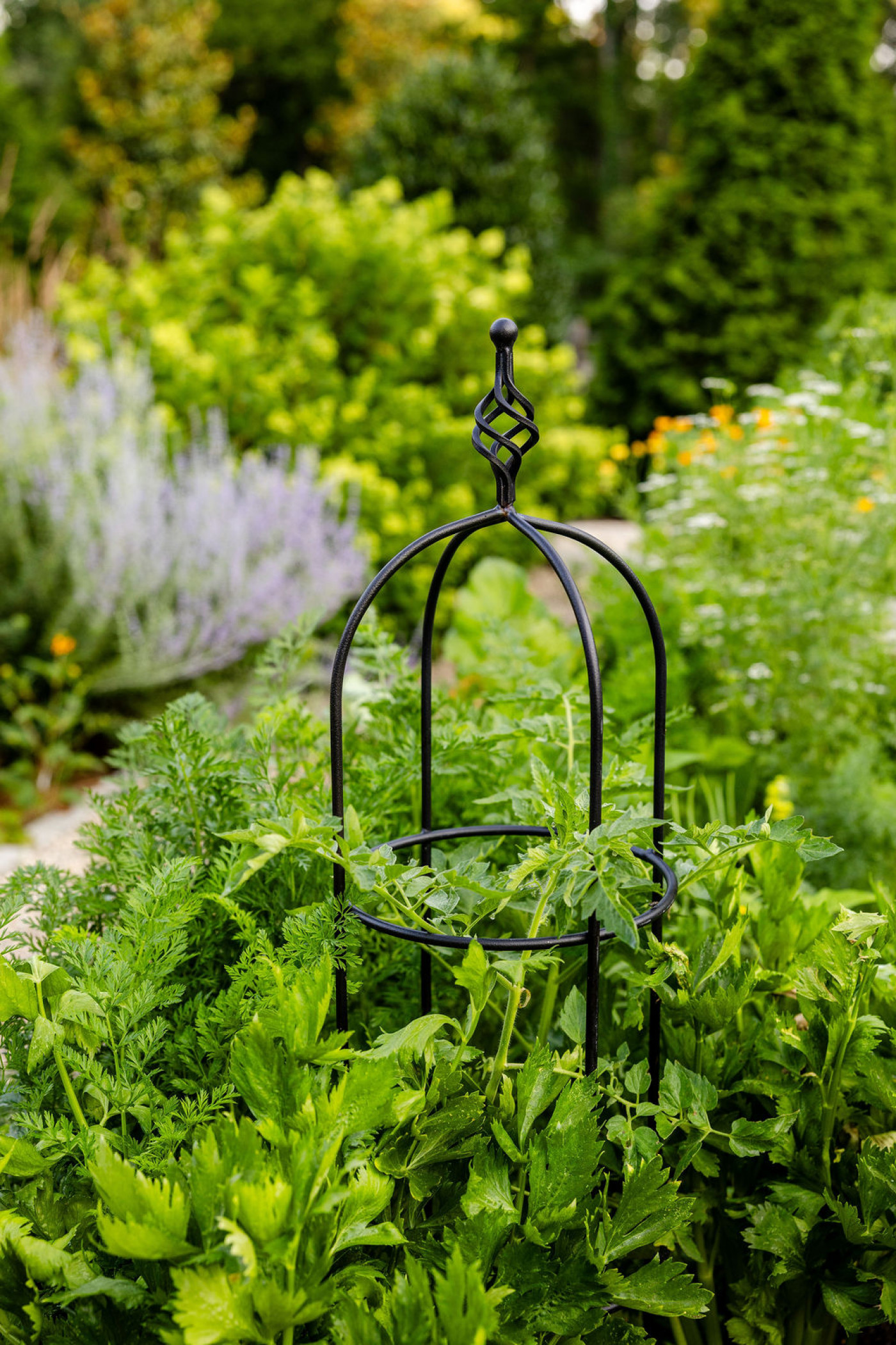 An obelisk trellis with plants growing up it
