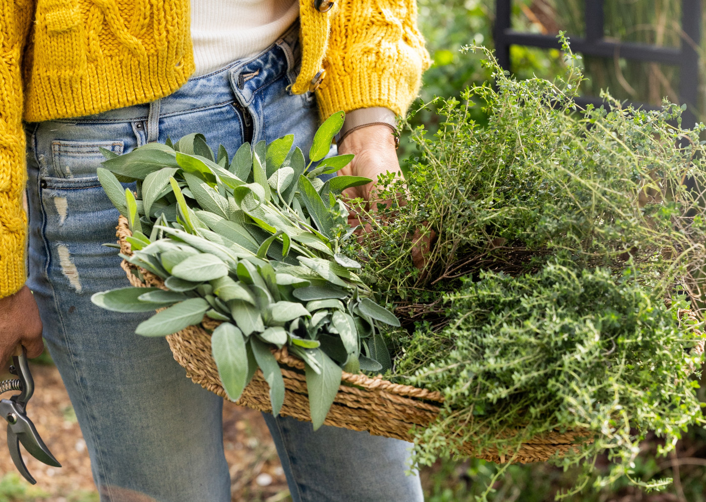 harvest basket filled with best herbs for fall
