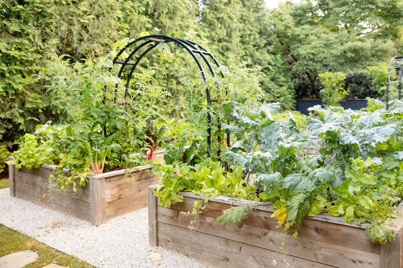 raised beds maximize growing space