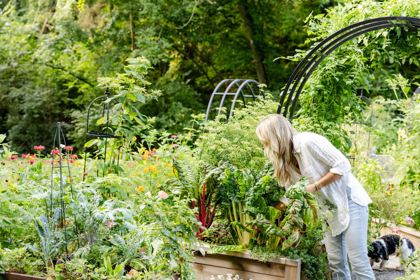 when to start a vegetable garden