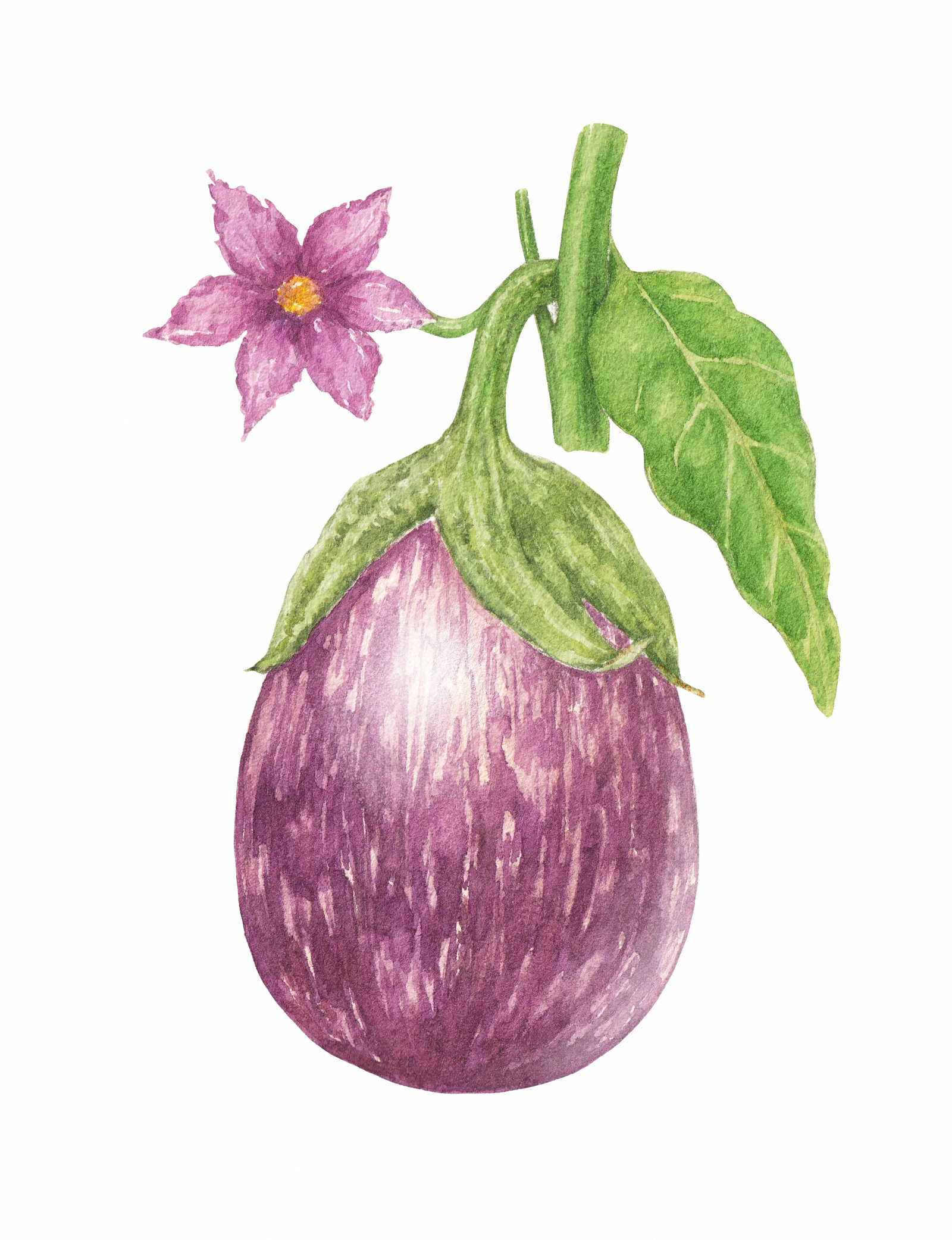 Free Gardening Workshop