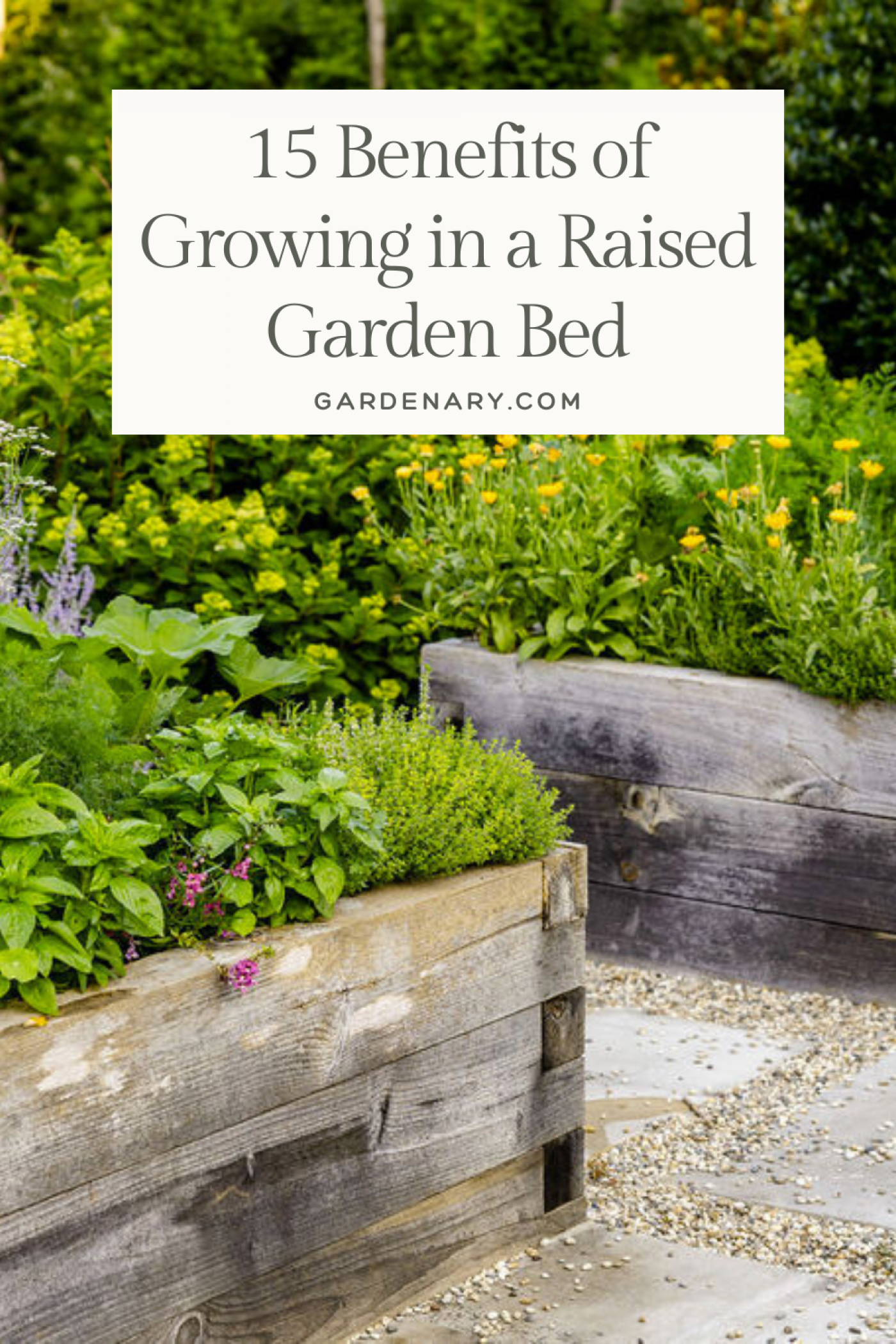 15 Benefits of Growing in a Raised Garden Bed