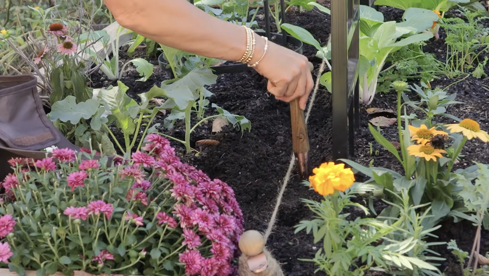 a hand making a hole in the soil with a dibber and a planting line