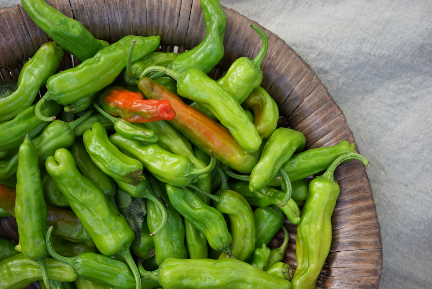 shishito peppers
