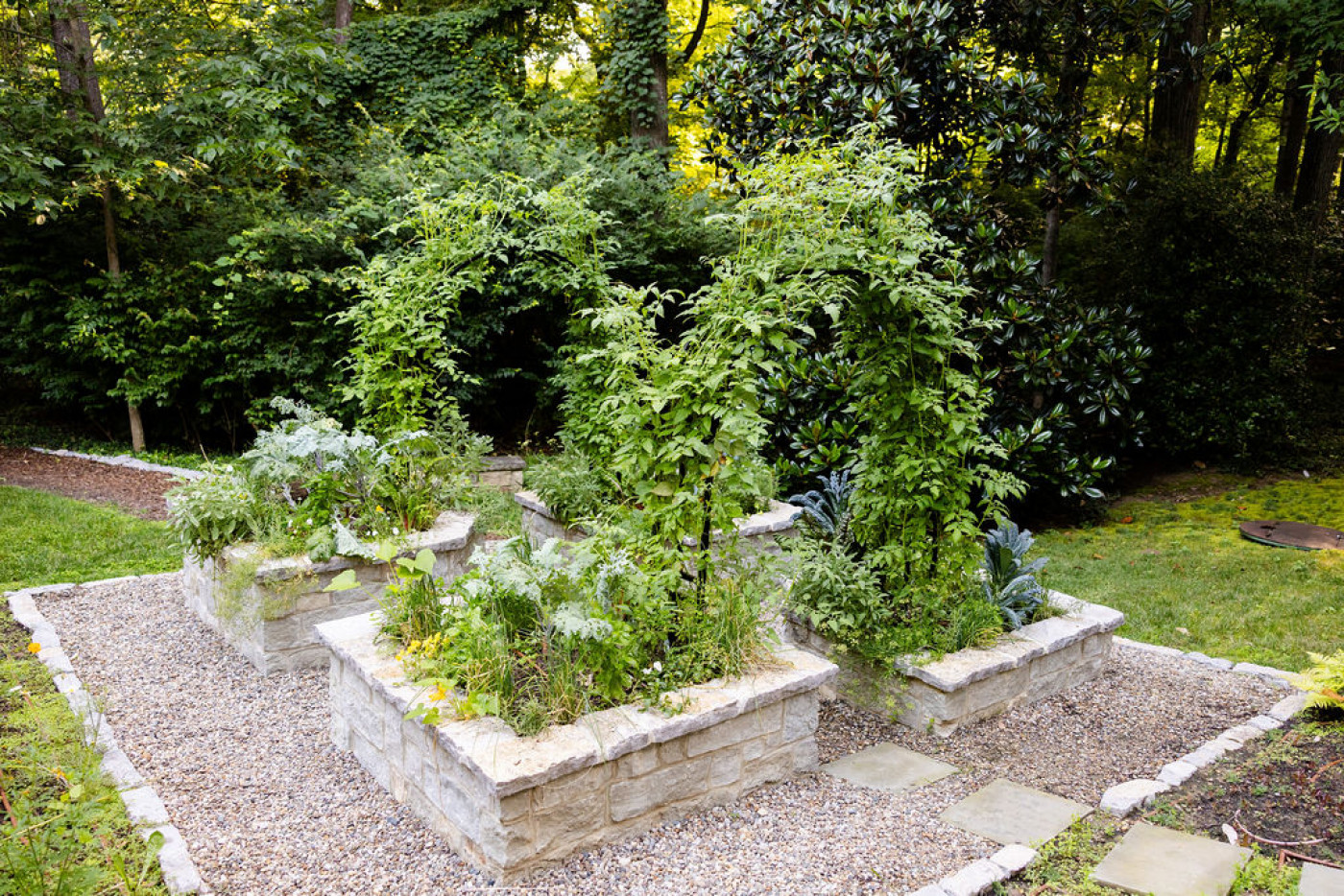 arch trellises for vertical gardening