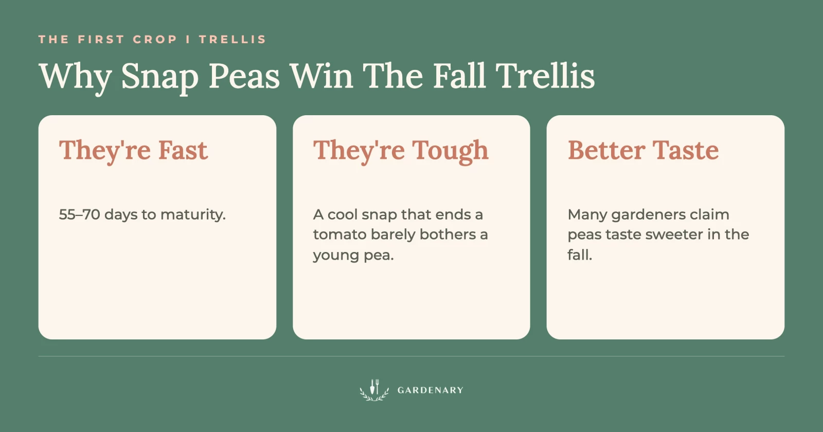 infographic about why to grow snap peas in the fall