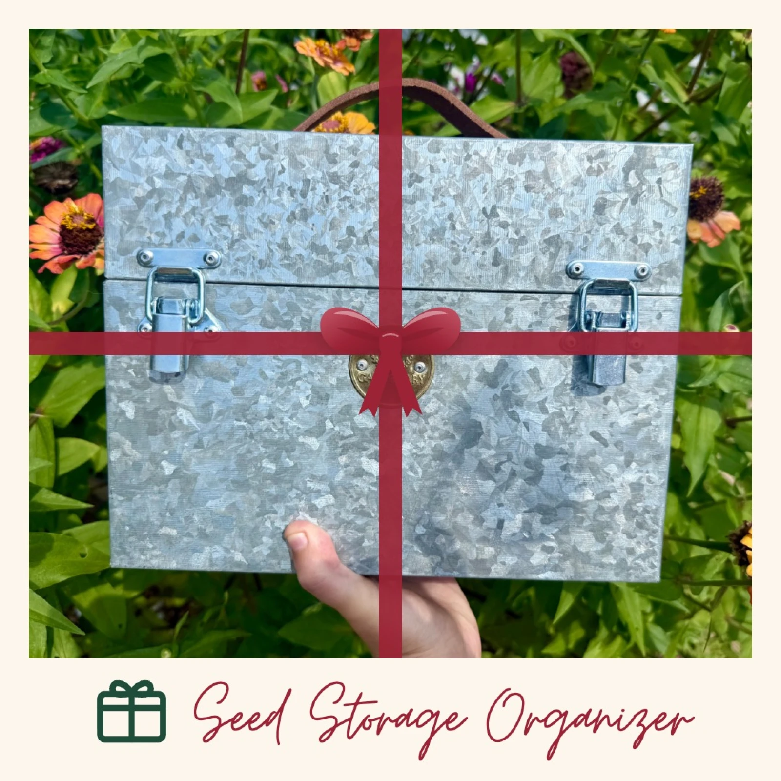 Seed Storage Organizer
