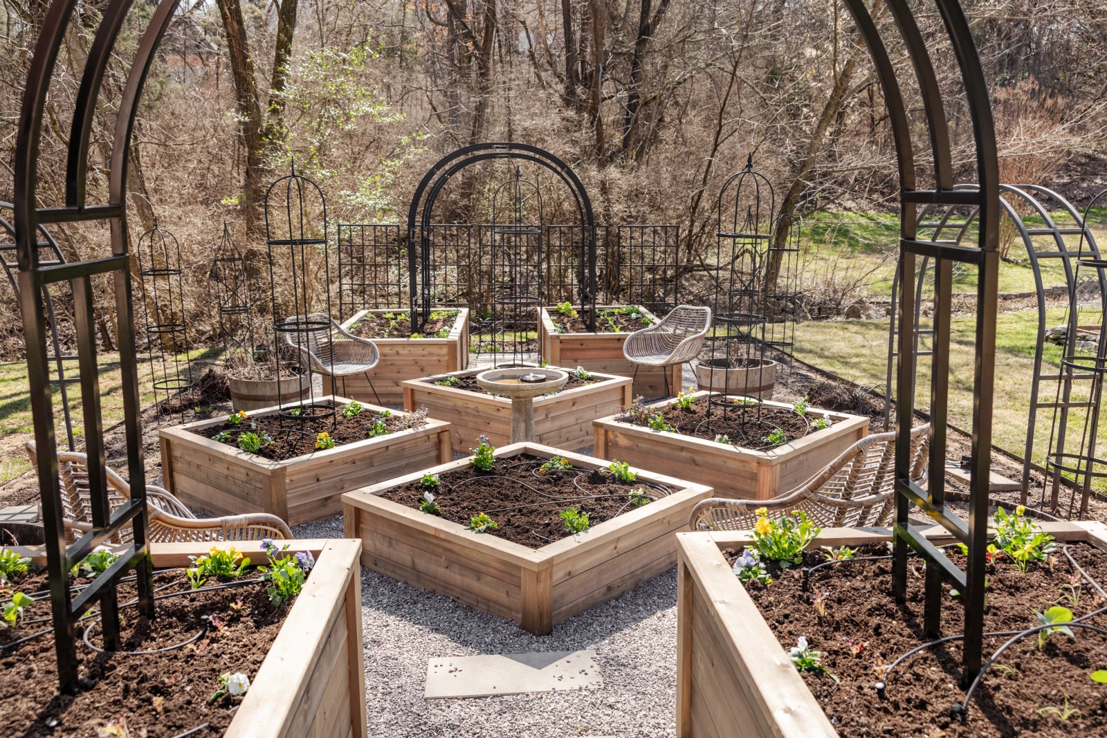 RAISED BEDS