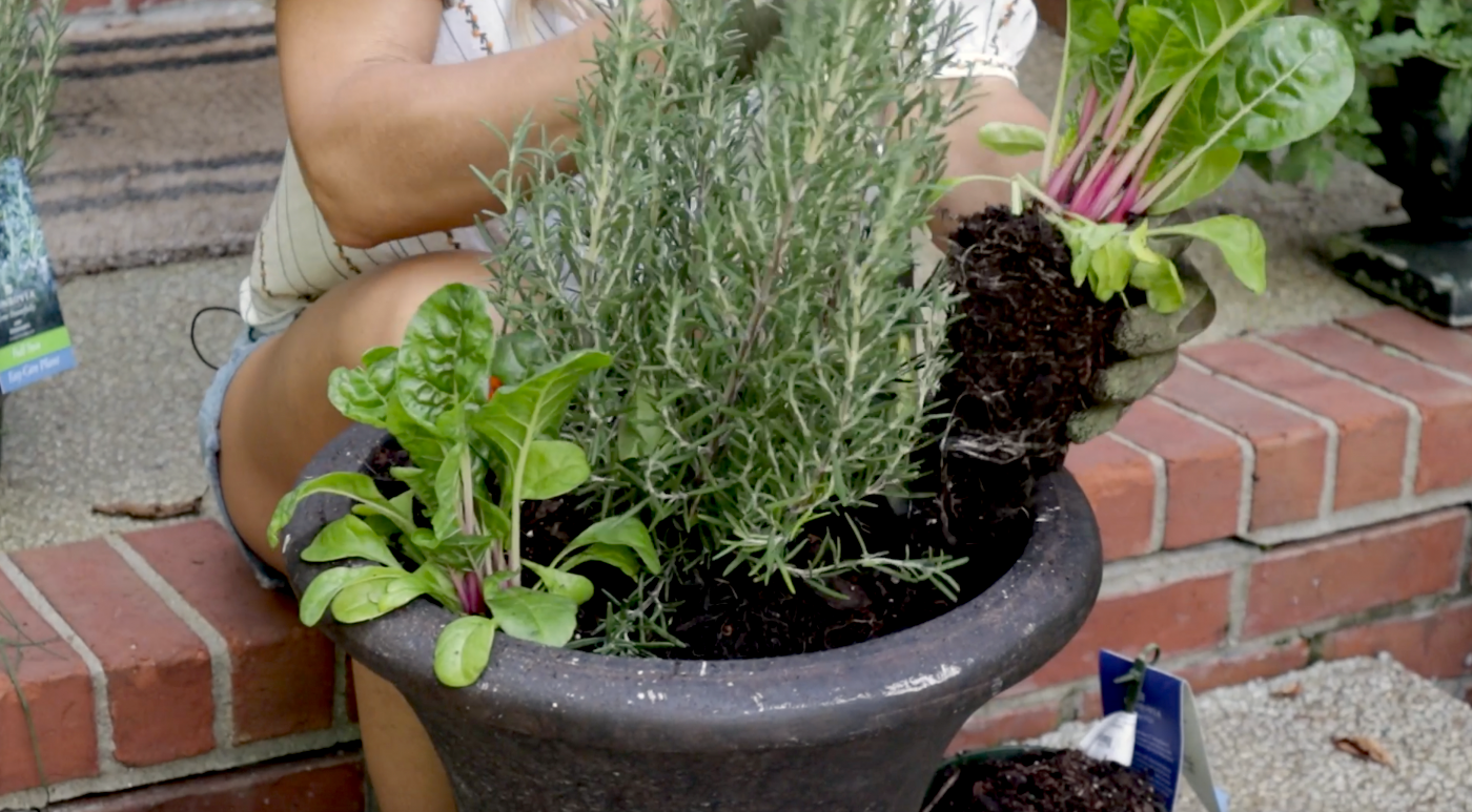 how to create fall planter