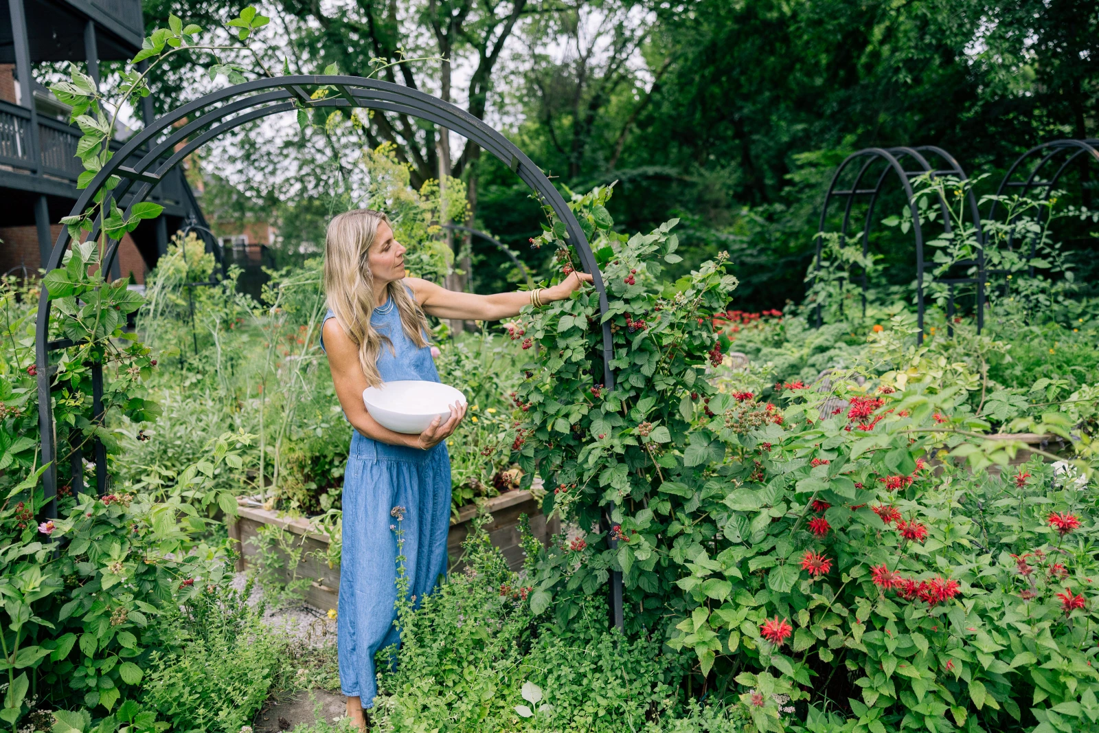 Nicole Burke Picking berries on an arch trellis