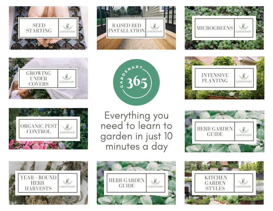 Valentine Gift Ideas For Gardeners Gardenary valentine-gift-ideas-for-gardeners-gardenary