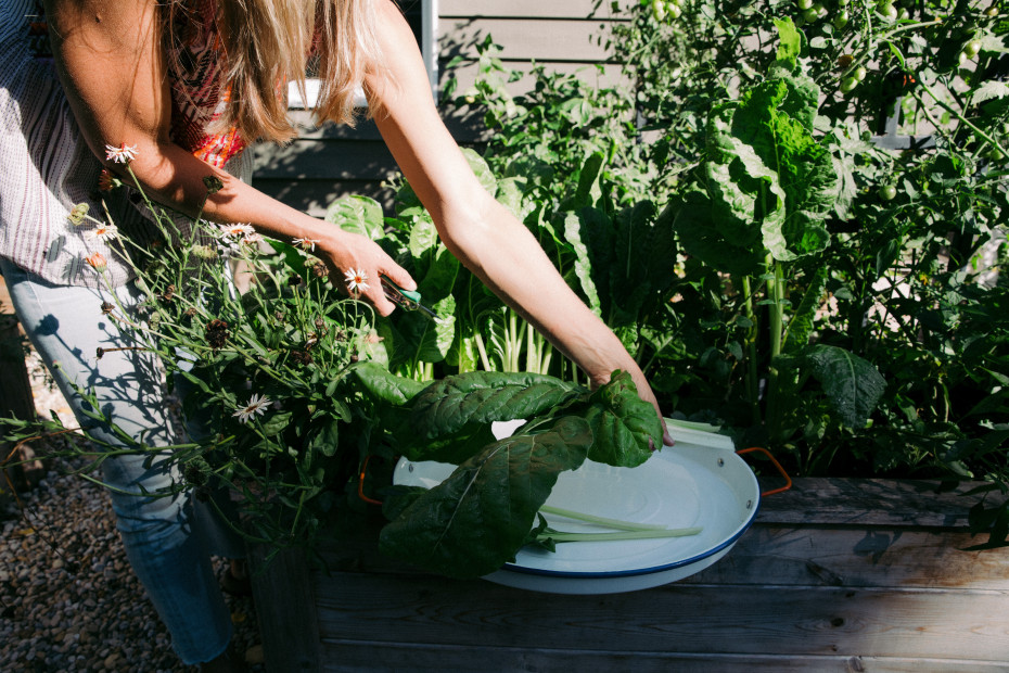 5 Questions To Ask Your Garden Consultant
