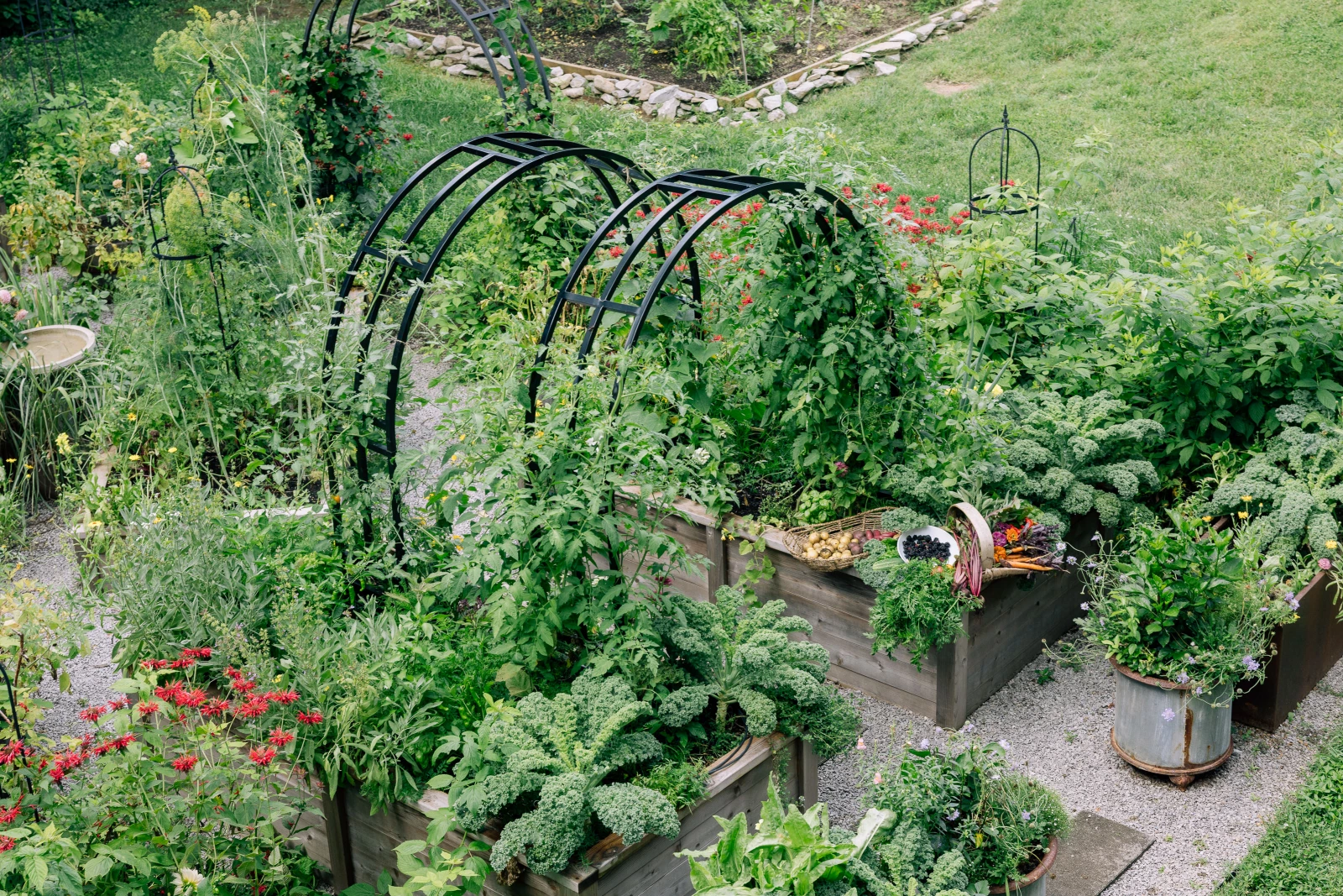 A shot from above of Nicole's garden