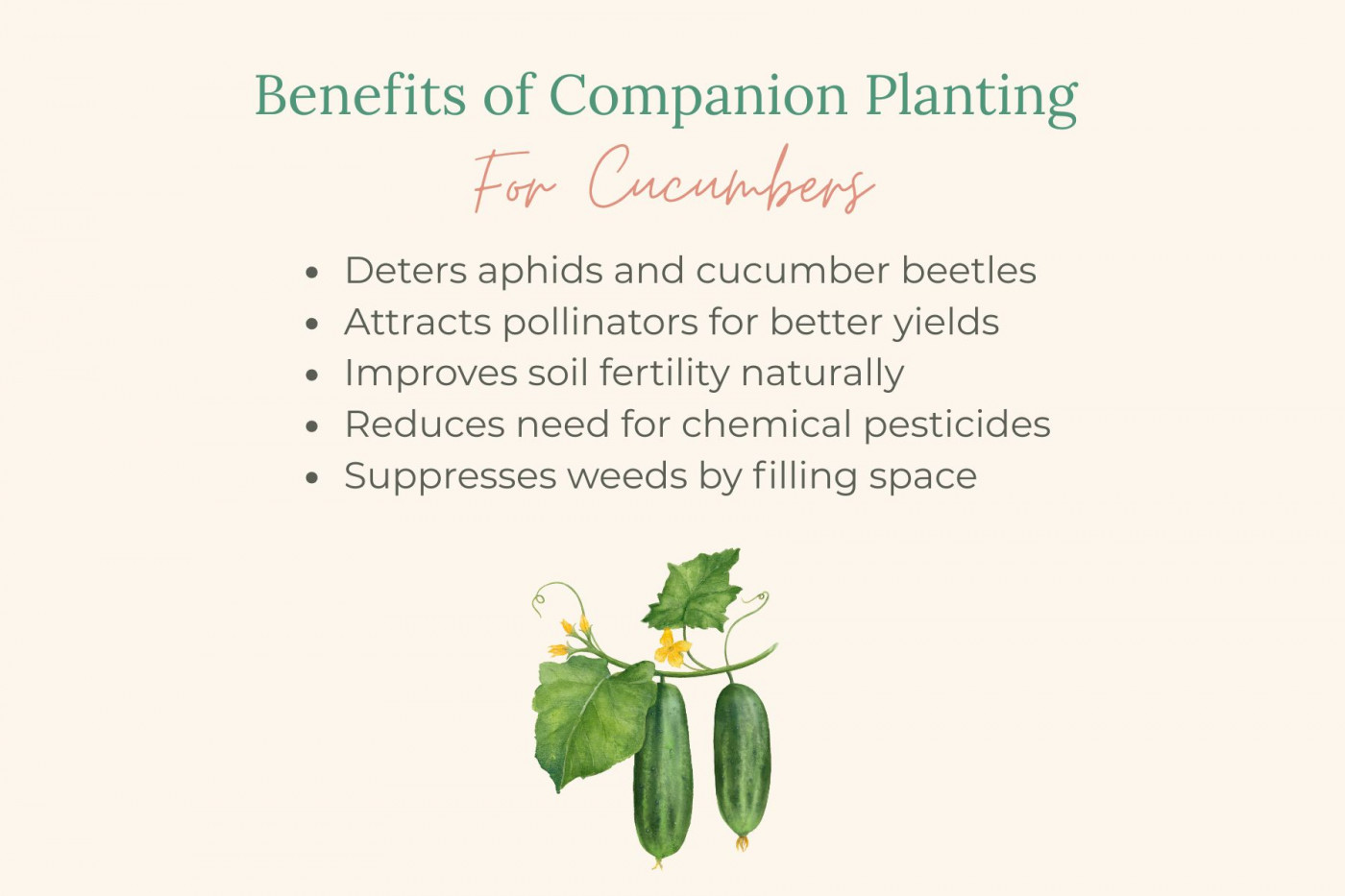 benefits of cucumber companion plants chart