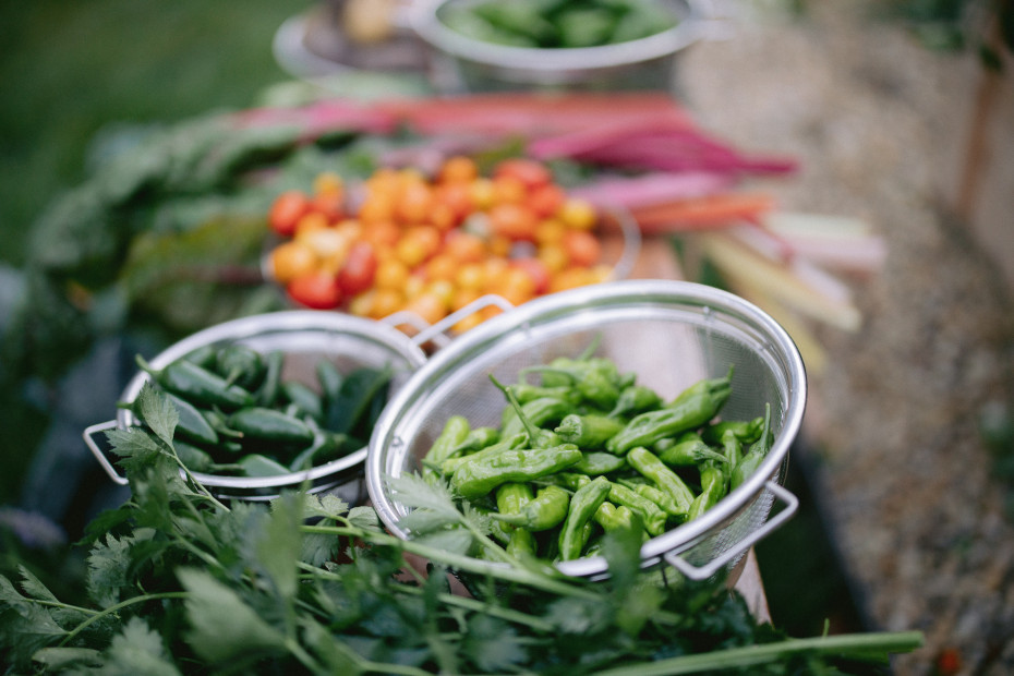 What Is a Kitchen Garden? • Gardenary