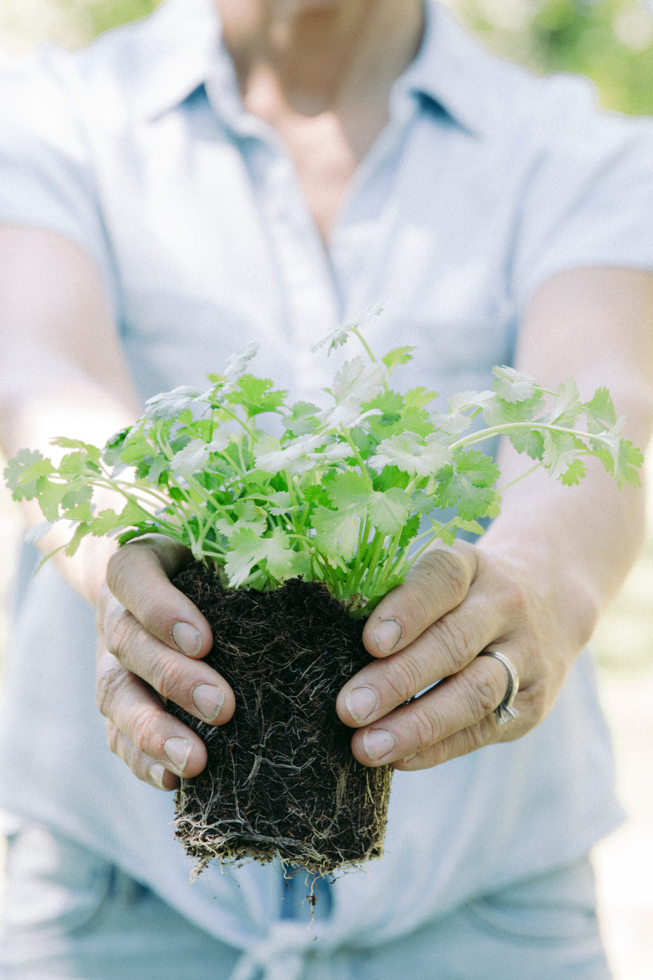 5 Questions To Ask Your Garden Consultant