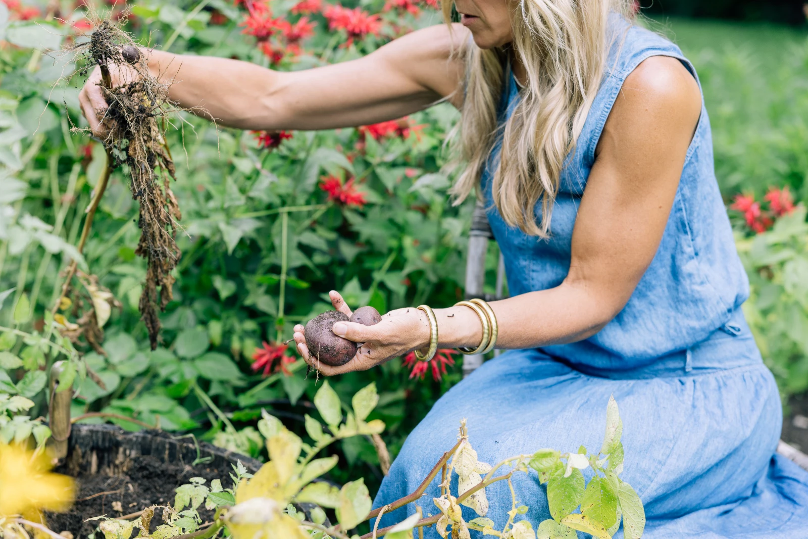 Nicole Burke holding a freshly harvested potato