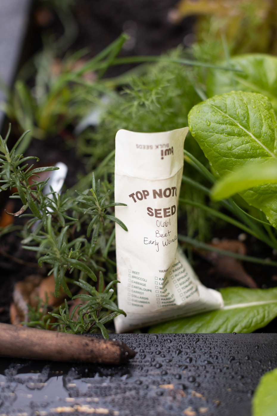 Can Seeds Expire or Go Bad? • Gardenary