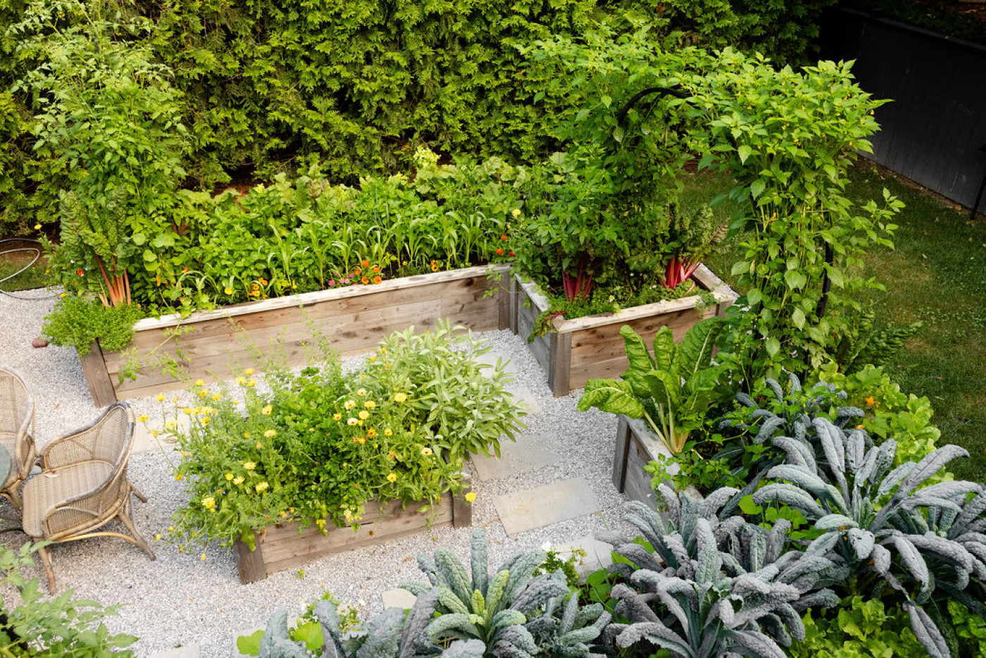Plants filling a raised bed